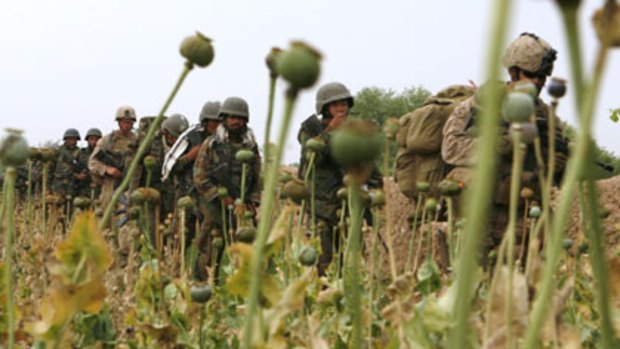 US and Afghan troops walk through poppies in Helmand.