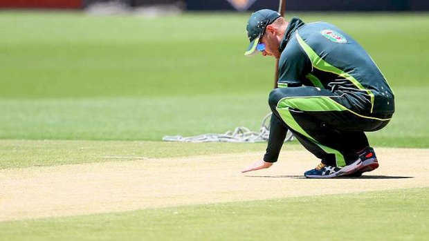 Pressure back on: Michael Clarke inspects the Gabba wicket.