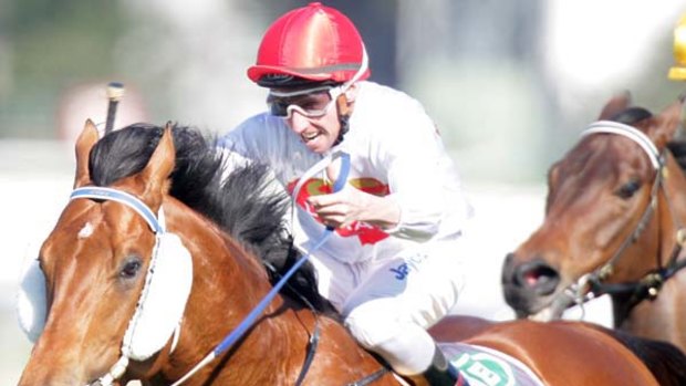 Reward For Effort could be one of five Peter Moody runners in the Oakleigh Plate.