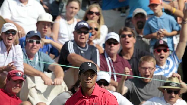 Glorious shot ... Tiger Woods and the crowd watch on keenly as his ball trickles towards the hole after his chip at the 16th hole.
