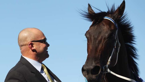 Peter Moody poses with Black Caviar.