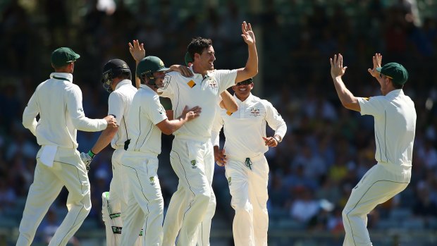 Mitchell Starc celebrates making the early breakthrough, the wicket of Martin Guptill.