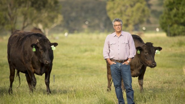 Wagyu beef farmer David Blackmore has avoided defending his farming operation at the Victorian Civil and Administrative Tribunal.