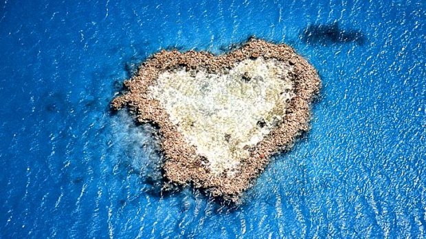 It has featured in dozens of tourism marketing campaigns, but you can't go there: Heart Reef in the Whitsundays.
