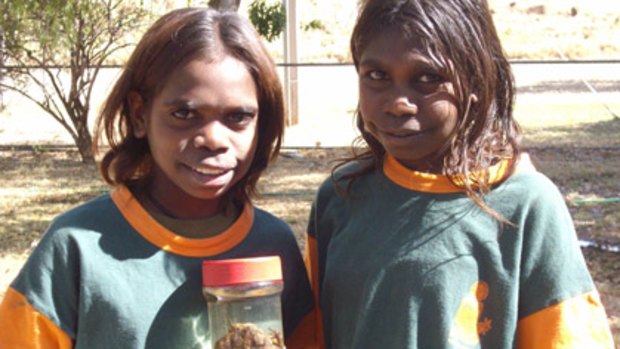 Ngalanagnapum School pupils Jacinta Clifton and Courtney Turner with the cane toad found at Warmun yesterday.