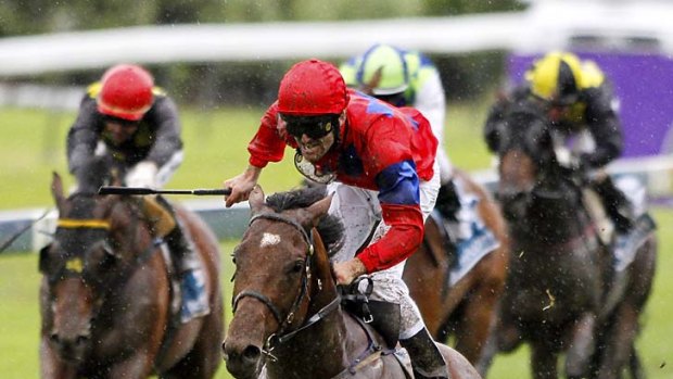 In the bank: Jonathan Riddell lands the New Zealand Derby on Jimmy Choux last month.
