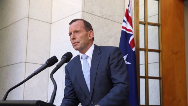 Thrust into the spotlight: Prime Minister Tony Abbott 