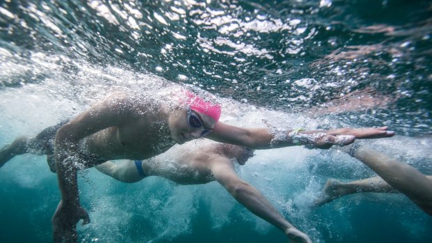 Competitors head out from the start at Shelly Beach during the 1km swim in the Cole Classic. 4th February 2018. Photograph Dallas Kilponen .