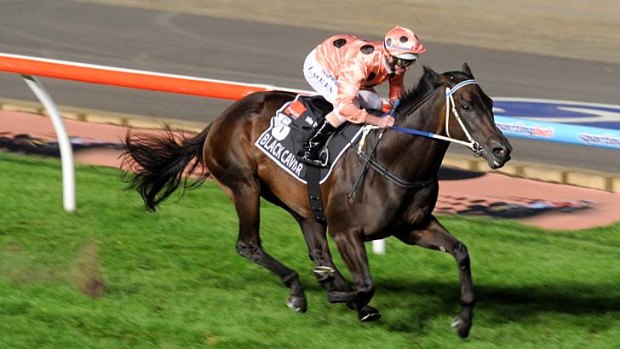 No chink in the armour: Black Caviar.