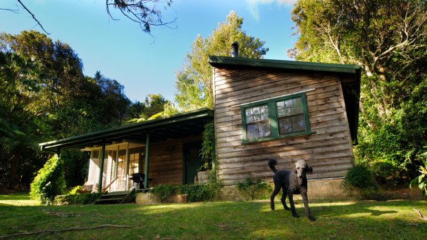 Red Dog Retreat, Kangaroo Valley, NSW.