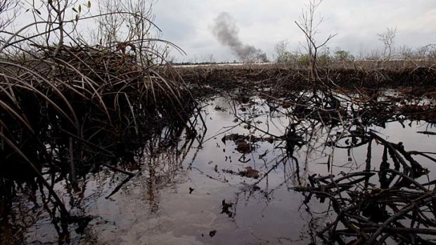 The oil-polluted waters of Bodo creek in Nigera.