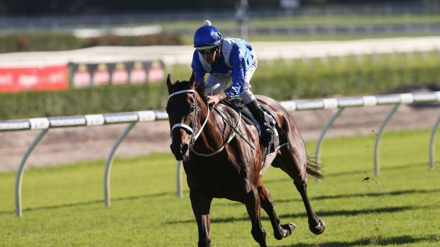 All in her stride: Superstar Winx is unbackable to win the Chipping Norton Stakes on Saturday.