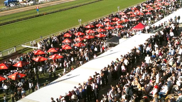 A small section of the huge crowd which packed Doomben for a chance to watch Black Caviar tear around the track.