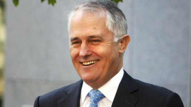Quitting politics ... Malcolm Turnbull photographed in Canberra last month.