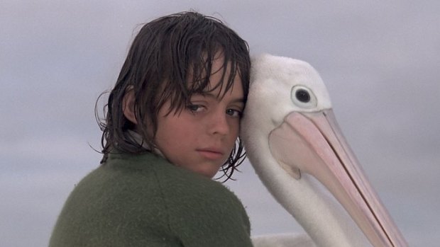 Much-loved film: Greg Rowe and pelican in <i>Storm Boy</i>.