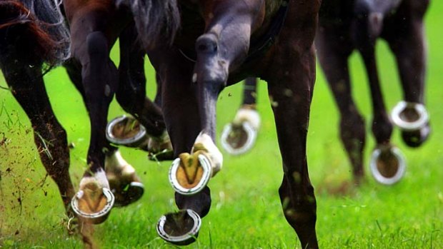 There are still plenty of options available for those looking to celebrate the Melbourne Cup in Brisbane.
