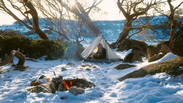 Camping under the snowgums on the Bogong High Plains.