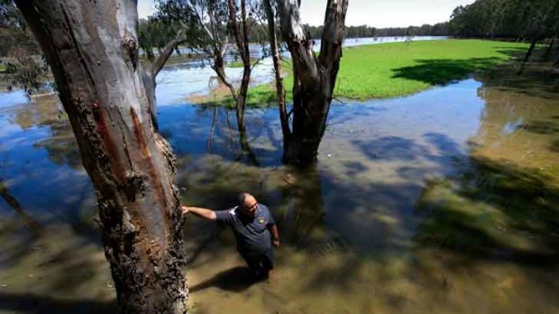Yorta Yorta chairman Lee Joachim, in the Barmah forest at Hut Lakes, hopes allocations from the water authority will help sustain Yorta Yorta culture practices.