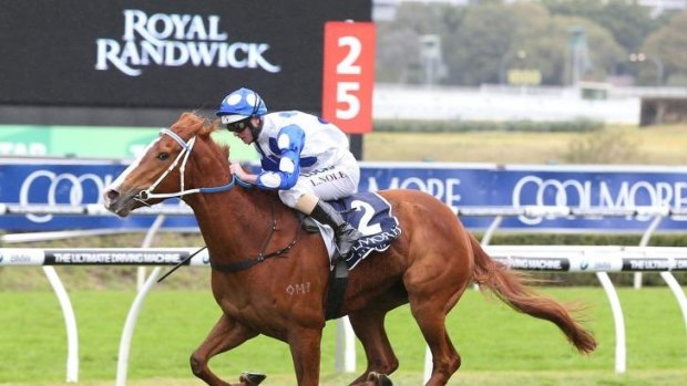 Moody blues: Bring Me The Maid took the Silver Shadow but trainer Peter Moody has hit out at the program for three-year-olds.