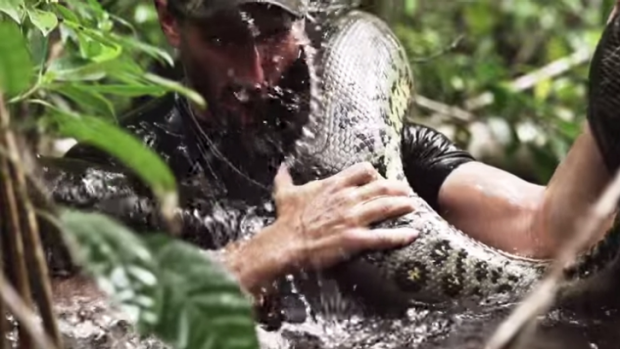 Paul Rosolie holds the anaconda.