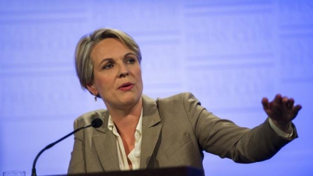 Tanya Plibersek says Ebola is 'the most serious health emergency of the modern era'.