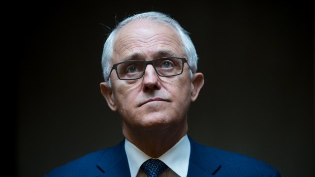 Poised to reject NZ's offer: Australian Prime Minister Malcolm Turnbull.