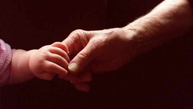 Grandparents who care full-time for their grandchildren need help to access services, says the Human Rights Commission.