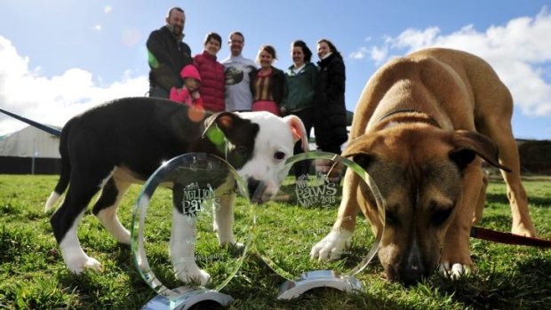 Sniffing around: Animals, vets, live music, food, drinks and gelato feature at the 2014 RSPCA Pet Expo on Saturday from 10am-3pm. 
