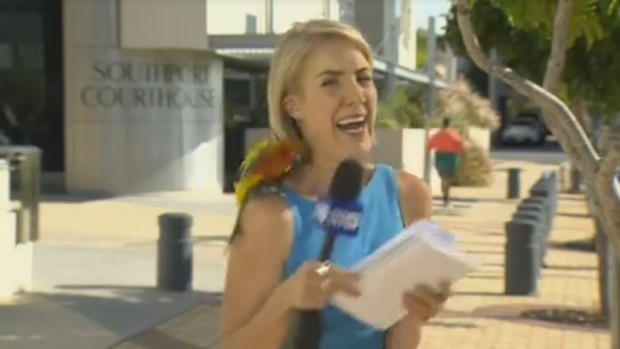Nine News reporter Brittney Kleyn has a bird land on her shoulder on camera.
