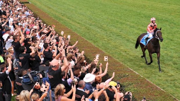Show stealer &#8230; Black Caviar trots past the huge, camera-wielding crowd lining the course proper at Caulfield on Saturday, where she took her unbeaten winning sequence to 18.