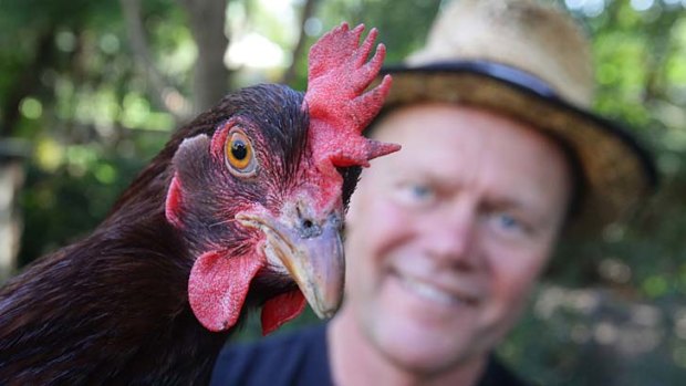 Backyard barn &#8230; Robert Mayer says running a chicken coop from his suburban block has been ''something that has really brought the community together''.