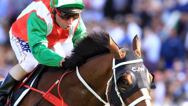 "On the way he raced today I think he can get a mile": Trainer Chris Waller.