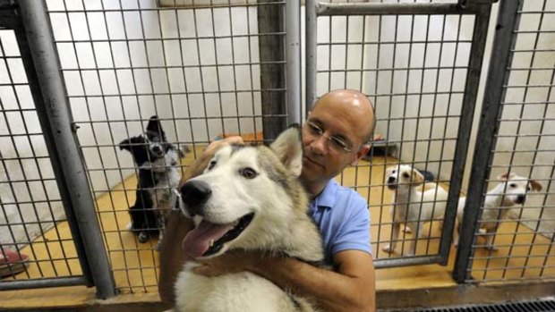 Somebody to love ... Tim Vasudeva with Max the malamute, who is looking for a home. A border collie cross and twin Jack Russells also make their pitches to potential owners.
