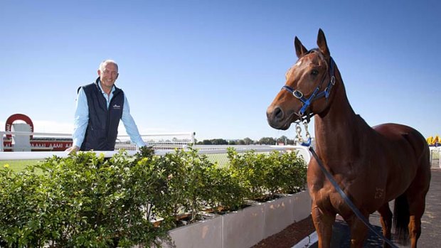 Fined ... trainer Rob Heathcote is $5000 out of pocket.