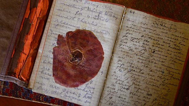 The pressed poppy in George McClintock's diary.