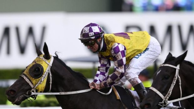 Back to work: Doncaster winner Sacred Falls is one of nine entries for trainer Chris Waller in the Warwick Stakes at Randwick on Saturday.