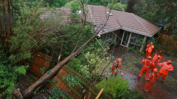 An SES crew removes a tree which fell onto a house in Catherine Court, Langwarrin, in yesterday's strong winds.