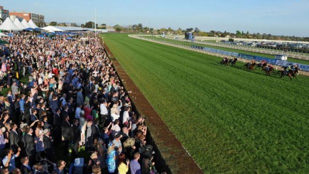 Punters galore: Tracking the action on Caulfield Guineas day.