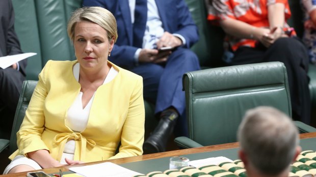 The seat of Sydney, held by Labor's Tanya Plibersek, has the highest rate of under-payment and non-payment of super entitlements in the country.