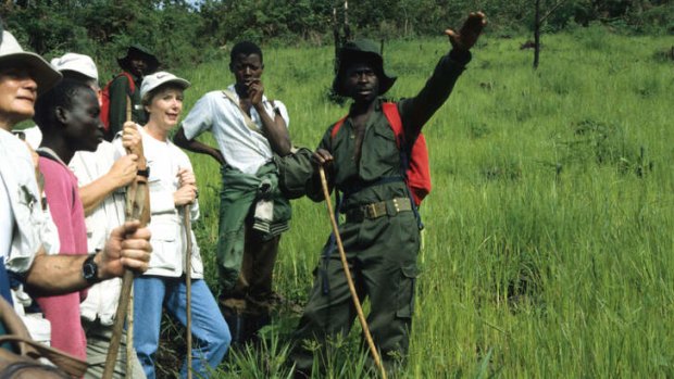 Gorilla trekking in Uganda.