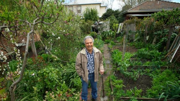 Peter Nicolaidis fears rising rates on vacant blocks may force him to sell his Alphington fruit and vegetable garden.