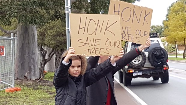 Children protest as big trees go down in Lathlain. 