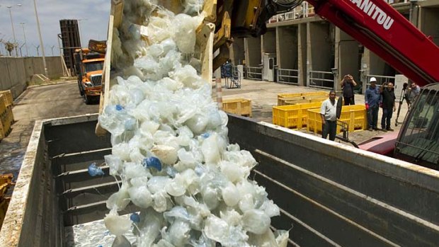 A digger clears away jellyfish after they blocked the water supply to a power plant in Hadera, Israel.