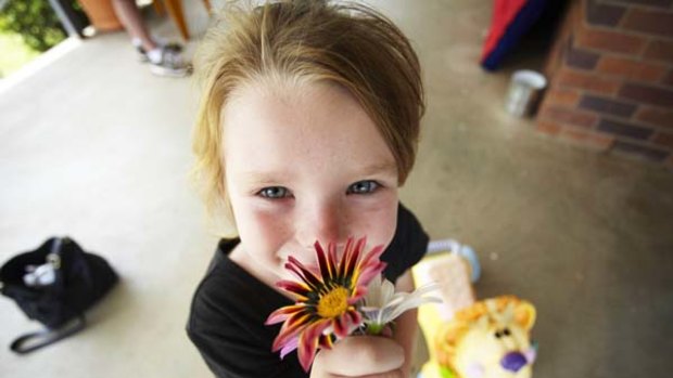 Leeteshia Grbin, 4, picked flowers to hand to her mum April Pearce. She is pictured at Dalby's Red Cross emergency accommodation  centre.