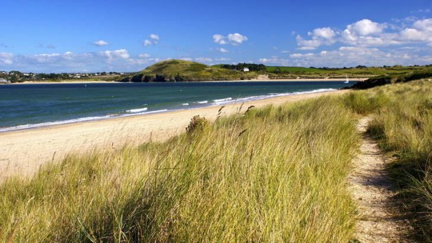 The coast path at Padstow.