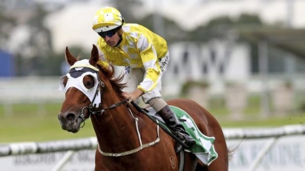 Now a favourite: Hugh Bowman rides Criterion to win at Rosehill.