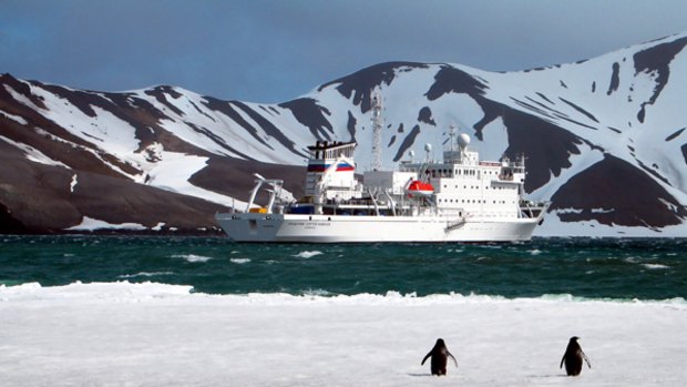 Penguins welcome the Peregrine Voyager to the Antarctic.