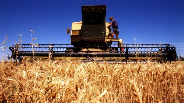 Global wheat prices have fallen 28 per cent since May.