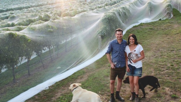 Candice Helbig and Frewin Ries in Arranmore Vineyard.