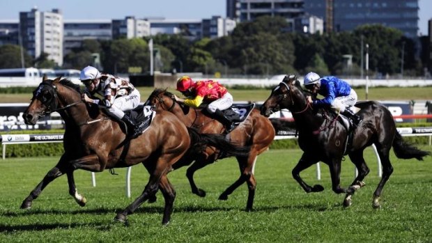 Joshua Parr rides Hampton Court to victory in the Moet and Chandon Spring Champion Stakes at Royal Randwick Racecourse on Saturday.
